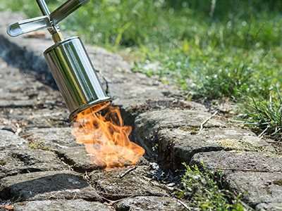 Désherbeur thermique